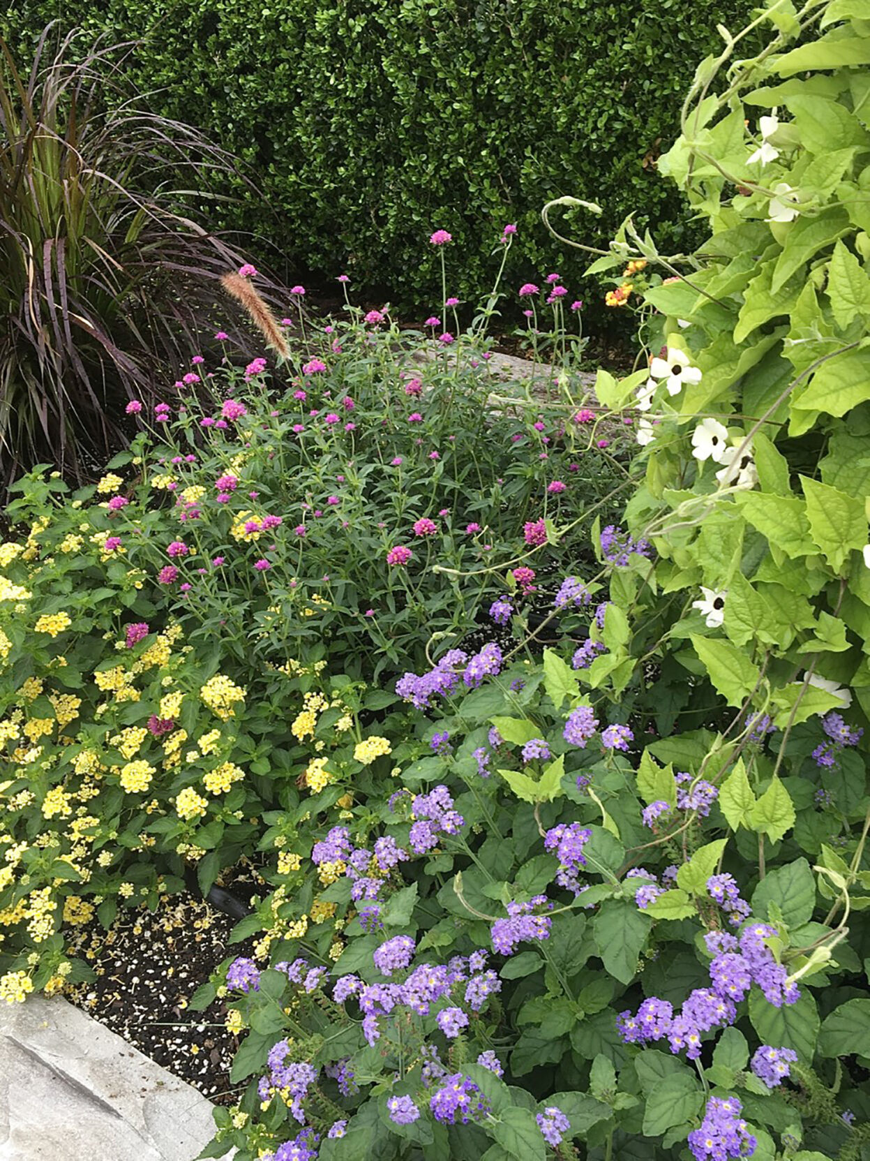 LIFE-HOME-ONGARDENING-3-MCT